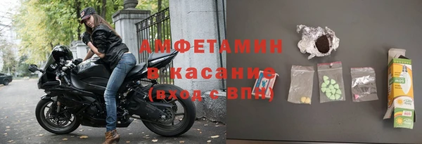 шишки Сатка