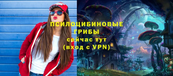 ГАЛЛЮЦИНОГЕННЫЕ ГРИБЫ Заводоуковск