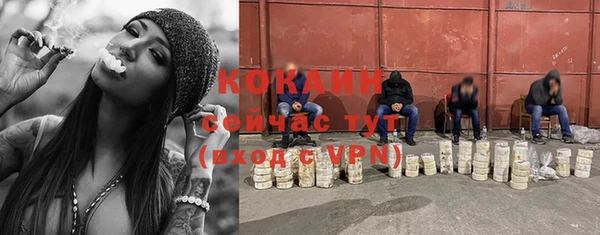 шишки Сатка