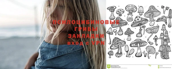 ГАЛЛЮЦИНОГЕННЫЕ ГРИБЫ Заводоуковск