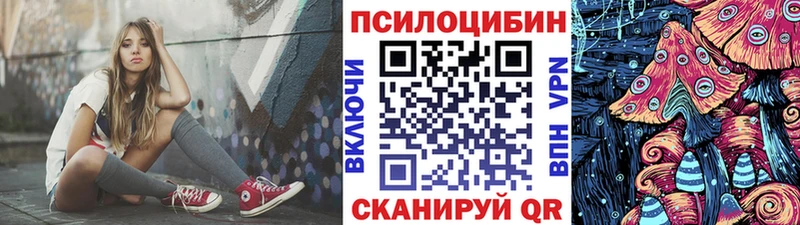 Купить закладки  Певек  Галлюциногенные грибы мицелий 